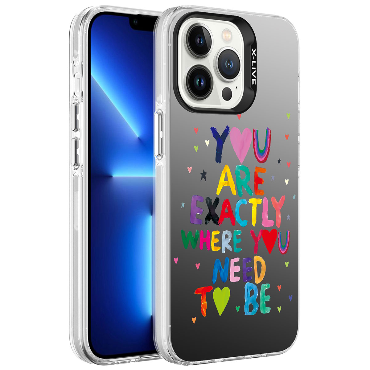iPhone 13 Pro Max Uyumlu Desenli NXXA Silver Sert Kapak-You