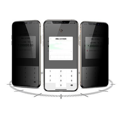 Apple iPhone 12 Pro Max Davin 5D Privacy Cam Ekran Koruyucu - 2
