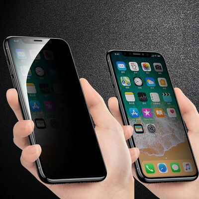 Apple iPhone 12 Pro Zore Anti-Dust Privacy Temperli Ekran Koruyucu