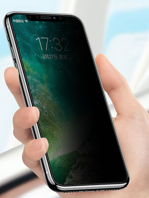 Apple iPhone 12 Pro Zore Anti-Dust Privacy Temperli Ekran Koruyucu