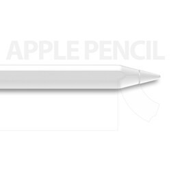 Apple Pencil Araree Pure Clear Dokunmatik Kalem Yüzey Koruyucu - Thumbnail