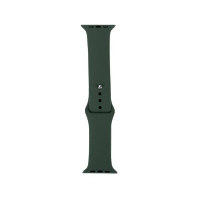 Apple Watch 38mm Band Serisi Klasik Kordon Silikon Strap Kayış Pine Yeşil