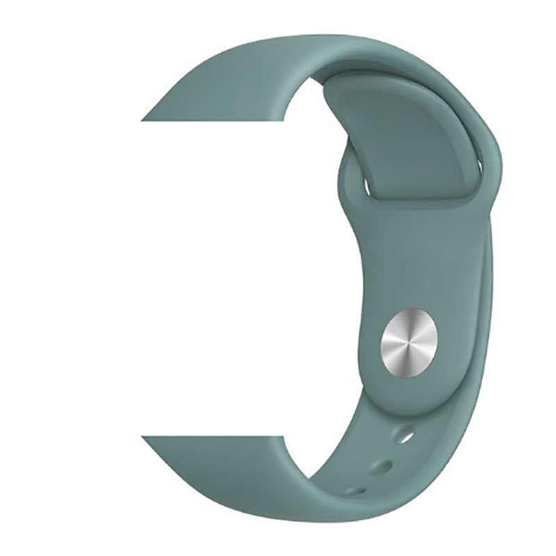 Apple Watch 38mm Zore Klasik Kordon - 48-Cactus