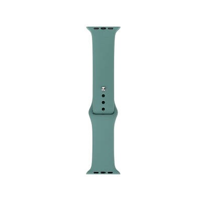 Apple Watch 7 41mm Band Serisi Klasik Kordon Silikon Strap Kayış Cactus