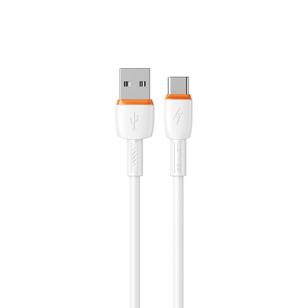 Lenyes LC545 USB to Type-C Hızlı Şarj Özellikli Data ve Şarj Kablosu 12W 1M - Beyaz