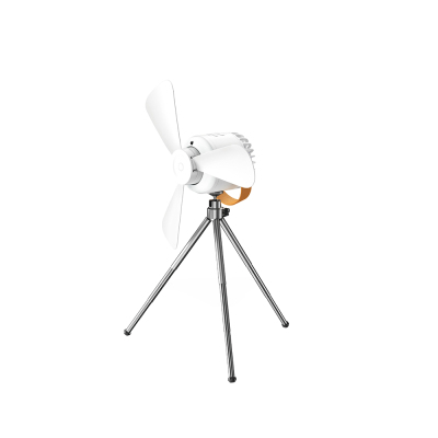 Lenyes LHF24 Illuminated Remote Controlled Multifunctional Ceiling Mounted Fan - Lenyes