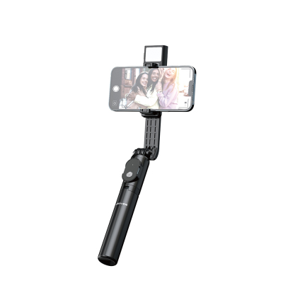 Lenyes LPH101 Canlı Yayın Dolgu Işıklı Tripod ve Selfie Çubuğu - Lenyes