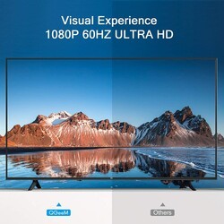 Qgeem QG-HD25 VGA To Display Port Dönüştürücü - 2