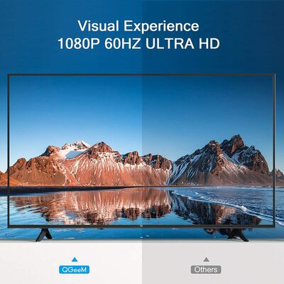 Qgeem QG-HD25 VGA To Display Port Dönüştürücü - 2