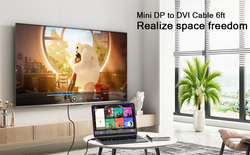 Qgeem QG-HD30 DVI To Mini Display Port Kablo - 11