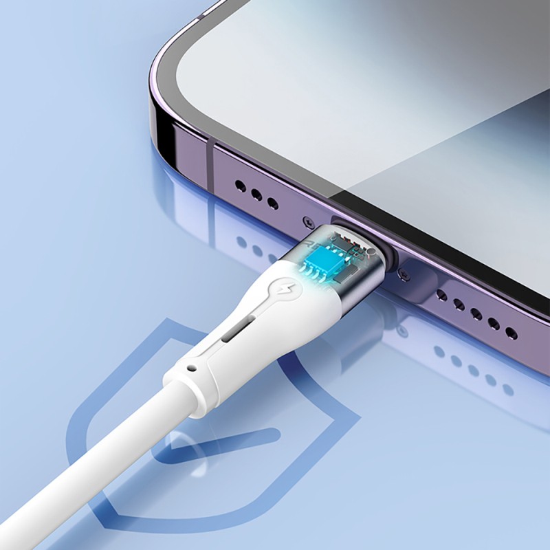 Recci RS11CC Type-C to Type-C PD Fast Charging Data and Charging Cable 65W 1M - 5
