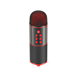Soaiy MC12 Karaoke Microphone - Soaiy