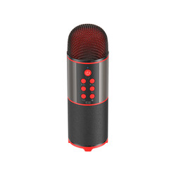 Soaiy MC12 Karaoke Mikrofon - Thumbnail
