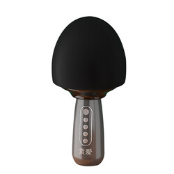 Soaiy MC15 Karaoke Microphone - Soaiy