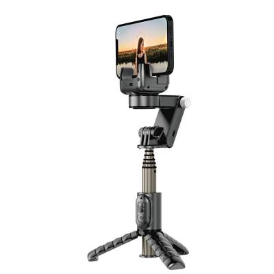Wiwu Wi-SE006 Multifunctional Illuminated Gimbal Stabilizer Tripod Selfie Stick - Wiwu