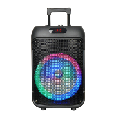 Zore GD-1203 Dijital LED Göstergeli FM Radyolu Mikrofonlu RGB TWS 12 inç Stereo Bass Kablosuz Karaoke Hoparlör - Zore