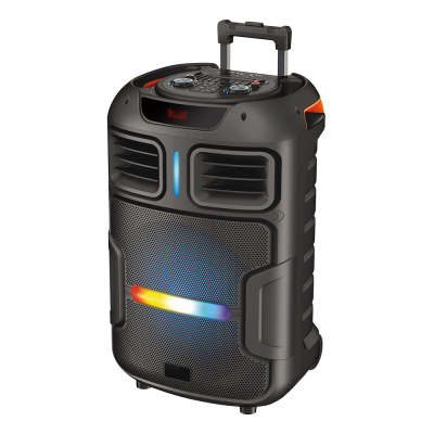 Zore GD-1503 RGB TWS 15 inch Stereo Bass Wireless Karaoke Speaker with Digital LED Indicator, FM Radio and Microphone - Zore