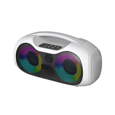 Zore GD-2403 Mikrofonlu RGB TWS Çift 4 inç Stereo Bass Kablosuz Karaoke Hoparlör - Zore