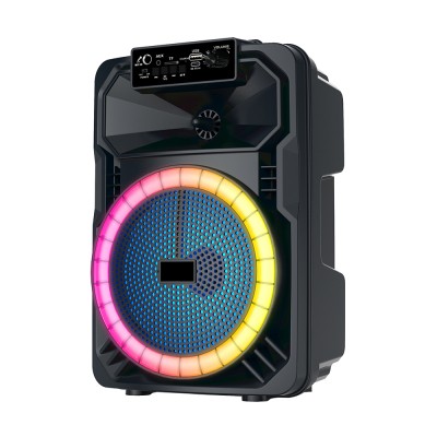 Zore GD-893 RGB TWS 8 inch Stereo Bass Wireless Microphone Karaoke Speaker - 2