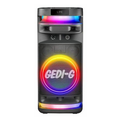 Zore GD-9005 Mikrofonlu RGB TWS 8 inç Stereo Bass Kablosuz Karaoke Hoparlör - Zore