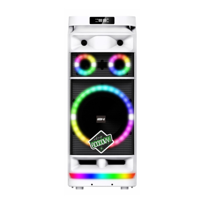 Zore GD-9012 Digital LED Display Microphone RGB TWS 12-inch Stereo Bass Wireless Karaoke Speaker - Zore