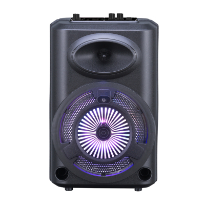 Zore GD-903 Digital LED Indicator, FM Radio, RGB TWS 8 inch Stereo Bass Wireless Karaoke Speaker with Microphone - Zore