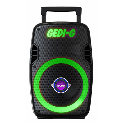 Zore GD-929 Mikrofonlu RGB TWS 8 inç Stereo Bass Kablosuz Karaoke Hoparlör - Zore