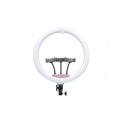Zore LJJ18 RGB Light 45cm Lighted Phone Holder Ring Light - Zore