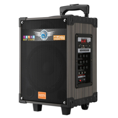 Zore LT-908 Dijital LED Göstergeli FM Radyolu Mikrofonlu TWS 8 inç Stereo Bass Kablosuz Karaoke Hoparlör - Zore