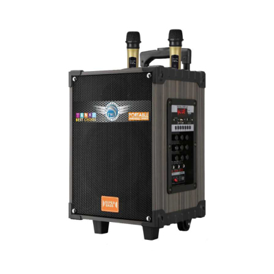 Zore LT-910 TWS 10 inch Stereo Bass Wireless Karaoke Speaker with Digital LED Indicator, FM Radio, Microphone and Guitar Input - Zore