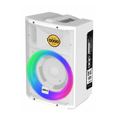 Zore LT-927 Mikrofonlu RGB Işıklı Kumandalı Stereo Bass Kablosuz TWS Karaoke Hoparlör Speaker - Zore