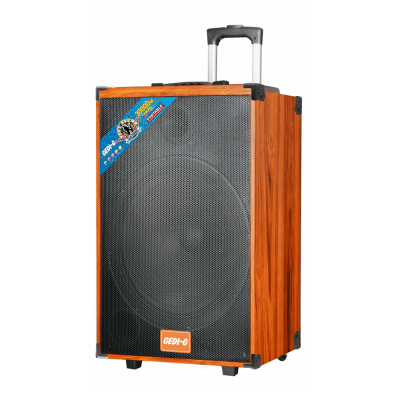 Zore LT-Q15A Digital LED Display FM Radio Dual Microphone Remote Controlled TWS Wireless Karaoke Speaker - Zore