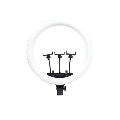 Zore MJ-18 Remote Control 45cm Lighted Phone Holder Ring Light - 2