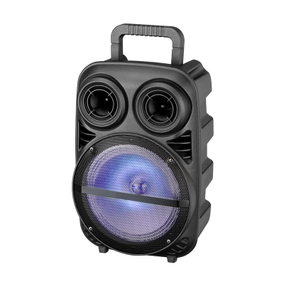 Zore PK-15 FM Radyolu Mikrofonlu RGB TWS 8 inç Stereo Bass Kablosuz Karaoke Hoparlör - Zore